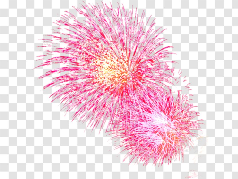 Pink Light Fireworks Red Transparent PNG