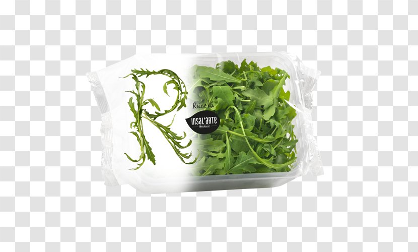 Romaine Lettuce Arugula Salad Vegetable Spinach Transparent PNG