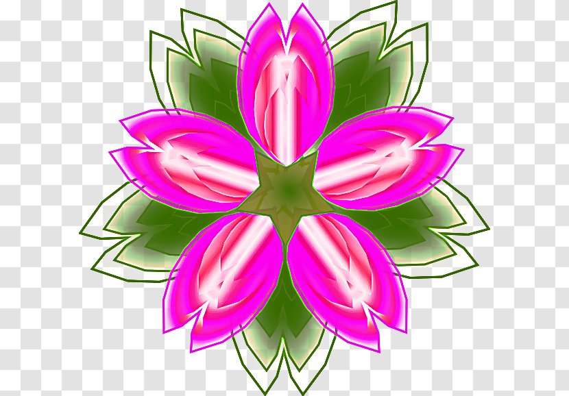 Pink Flower Petal Plant Clip Art - Wildflower Symmetry Transparent PNG