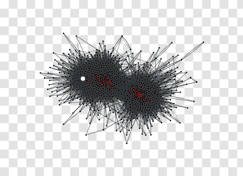 Graph-tool Centrality Computer Network Vertex - Invertebrate - Random Graph Transparent PNG