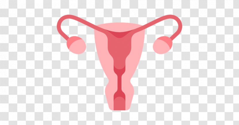 Uterus Endometrium Ovary Obstetrics And Gynaecology Clip Art - Pregnancy Transparent PNG