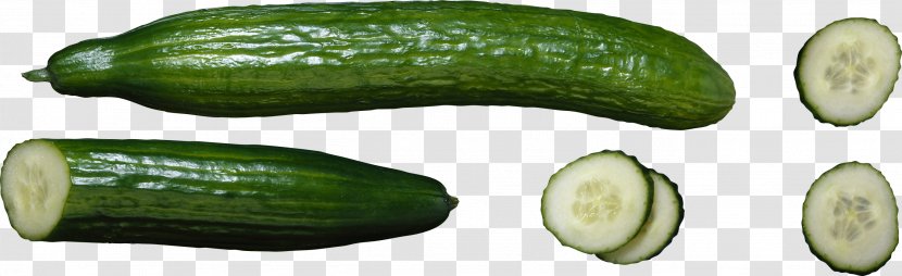 ArcheAge Cucumber Icon Computer File - Ingredient Transparent PNG