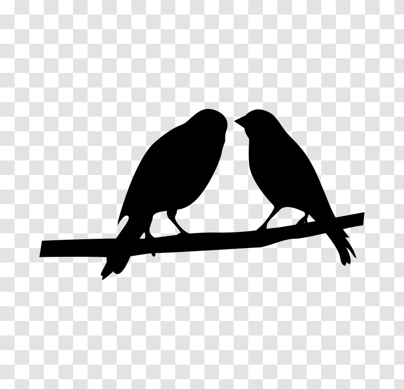 Bird Beak Black Branch Songbird - Logo - Silhouette Transparent PNG