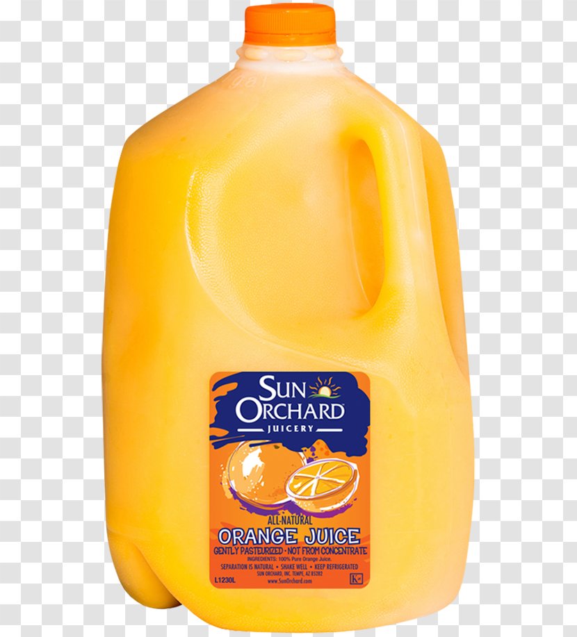 Orange Juice Fuzzy Navel Drink Grapefruit - Liquid Transparent PNG