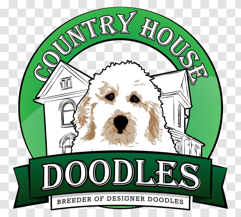 Puppy Goldendoodle COUNTRY HOUSE DOODLES Dog Breed - Carnivoran Transparent PNG