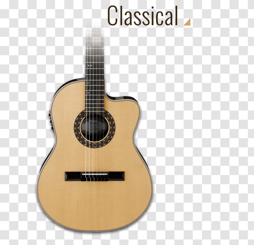 Acoustic Guitar Bass Tiple Acoustic-electric Cavaquinho - Cartoon Transparent PNG