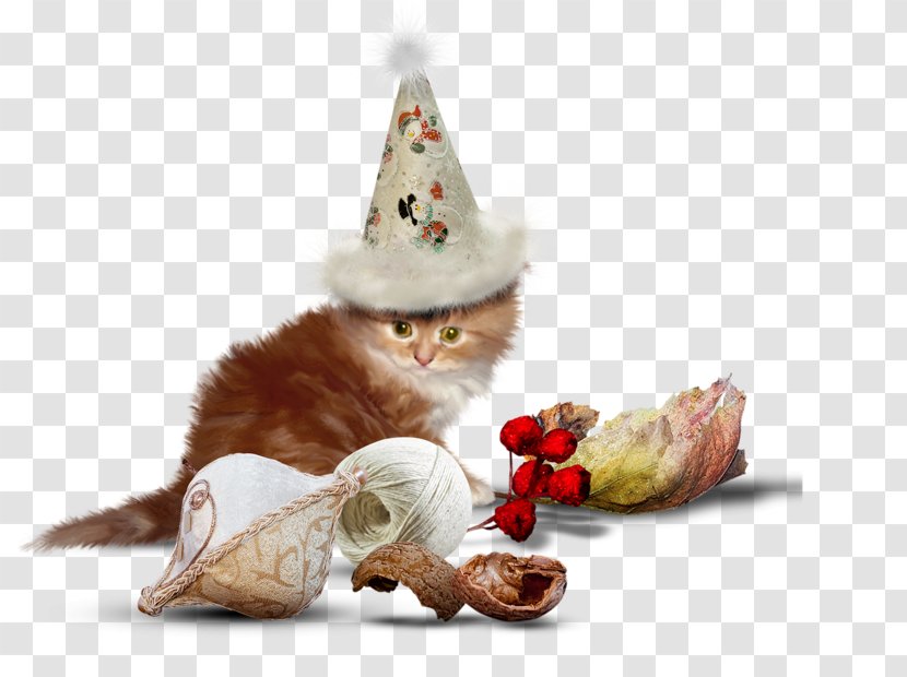 Cat Kitten Dog - In The Hat Transparent PNG