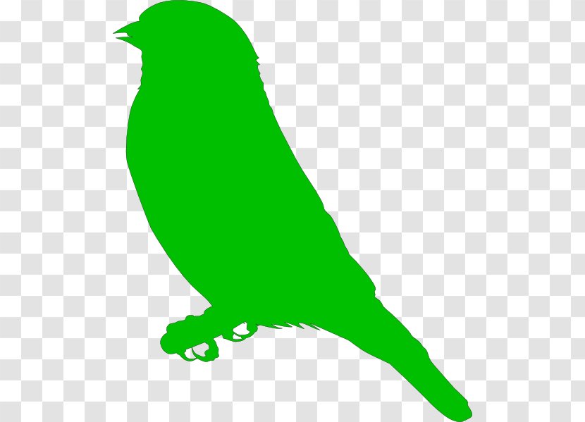 Finch Drawing Clip Art - Black And White - Green Vector Transparent PNG