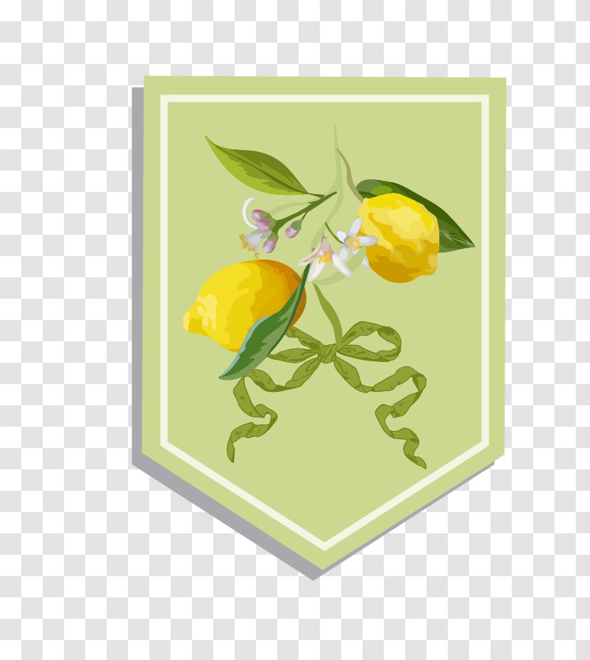 Lemon Illustration - Food - Fresh Background Transparent PNG