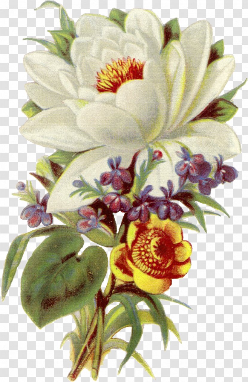 Flower Bouquet Floral Design Clip Art - Floristry - Botanical Transparent PNG