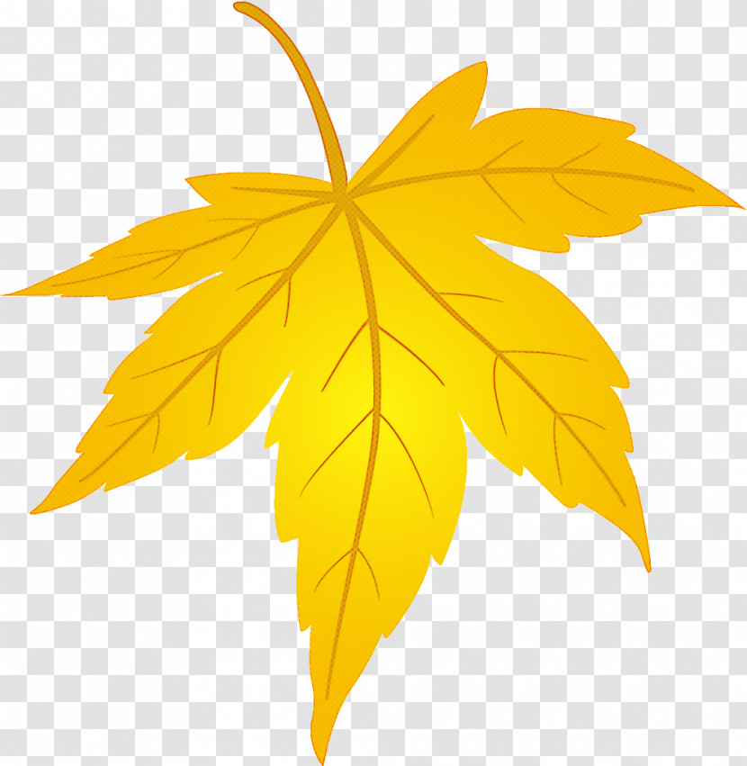 Maple Leaf Fallen Leaf Dead Leaf Transparent PNG