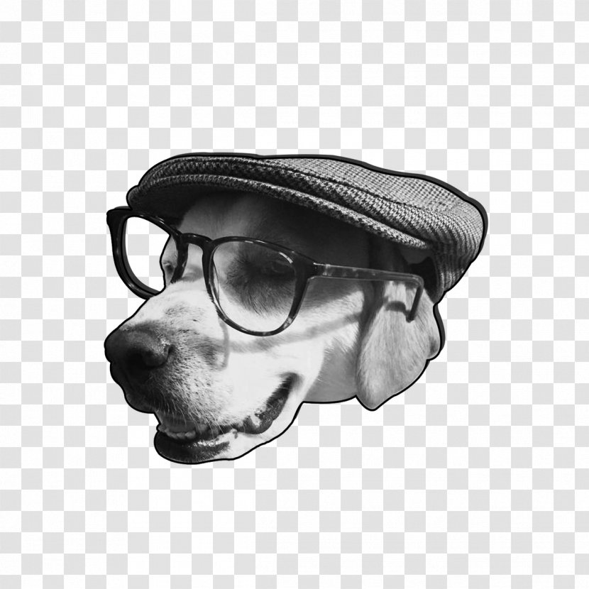 Glasses Dog Snout Goggles - Eyewear Transparent PNG