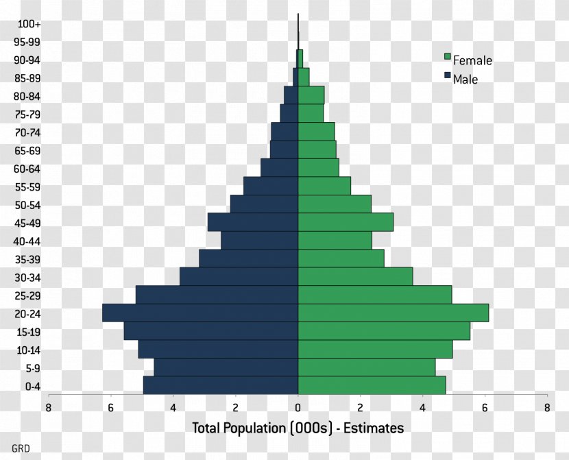 Population Pyramid Nicaragua Literacy Demography - Triangle - World Estimates Transparent PNG