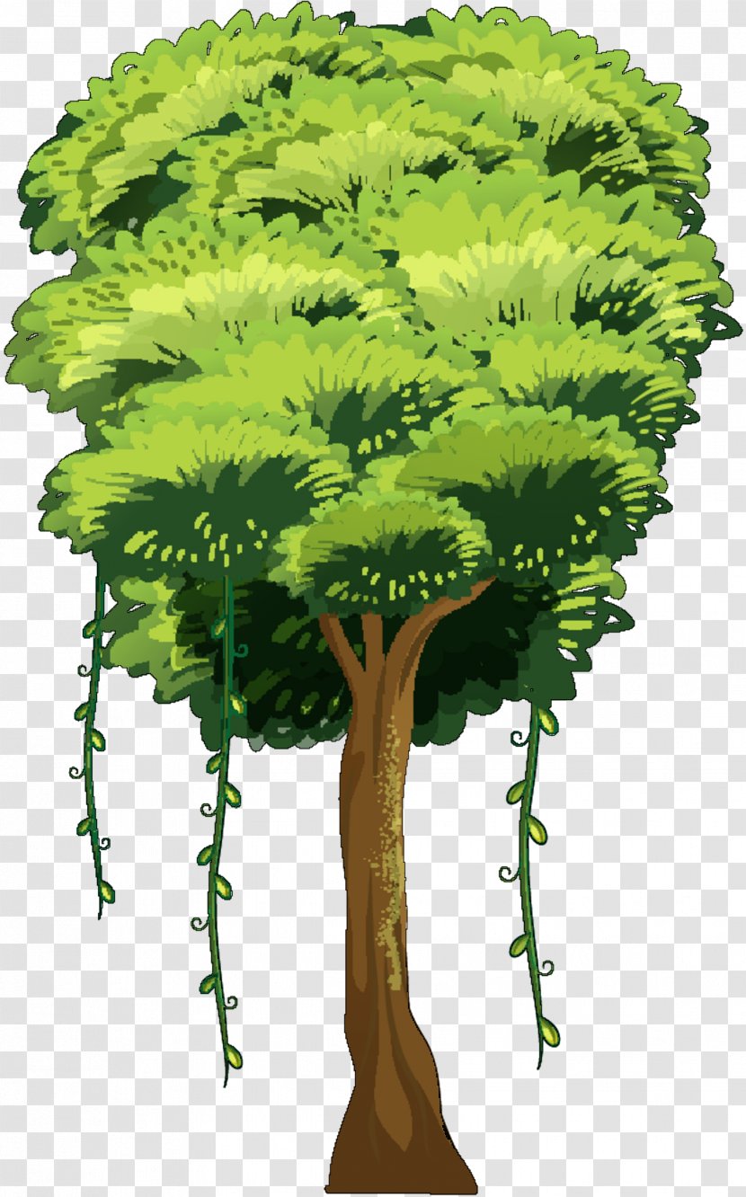 Vector Graphics Clip Art Tree Illustration - Of Life - Vascular Plant Transparent PNG