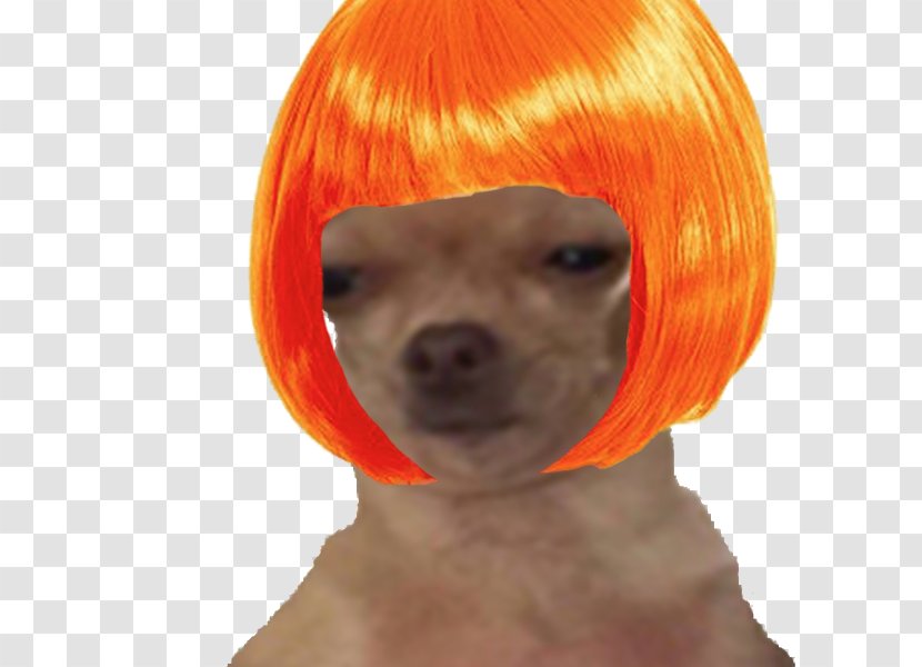 Dog Breed Puppy Companion Wig - Orange Transparent PNG