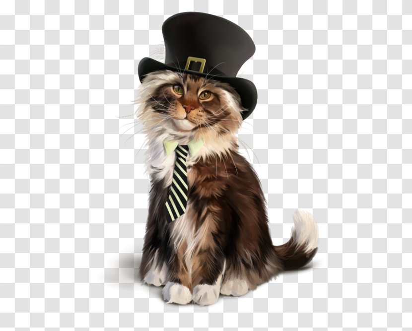 Saint Patricks Day - Cat - Costume Accessory Kitten Transparent PNG