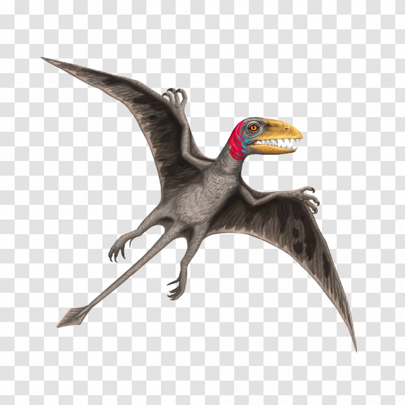 Royalty-free Dimorphodon Stock Photography - Frame - Watercolor Transparent PNG