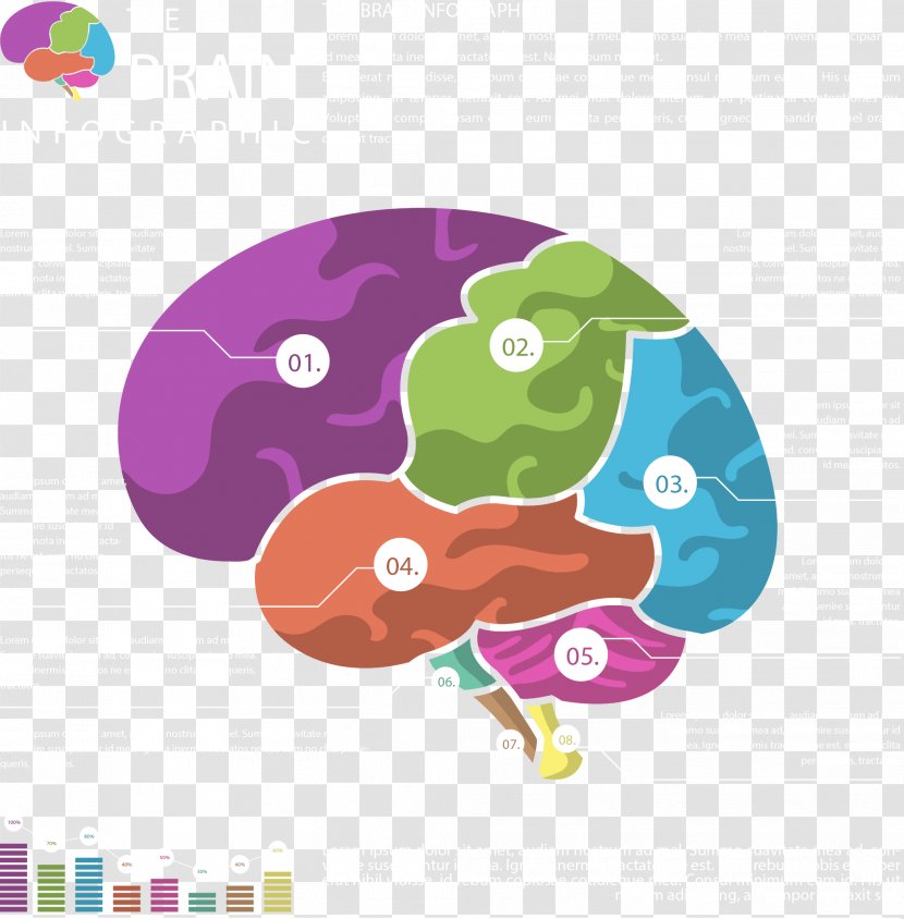 Infographic Brain Agy - Violet - Vector Hand Painted Colored Transparent PNG