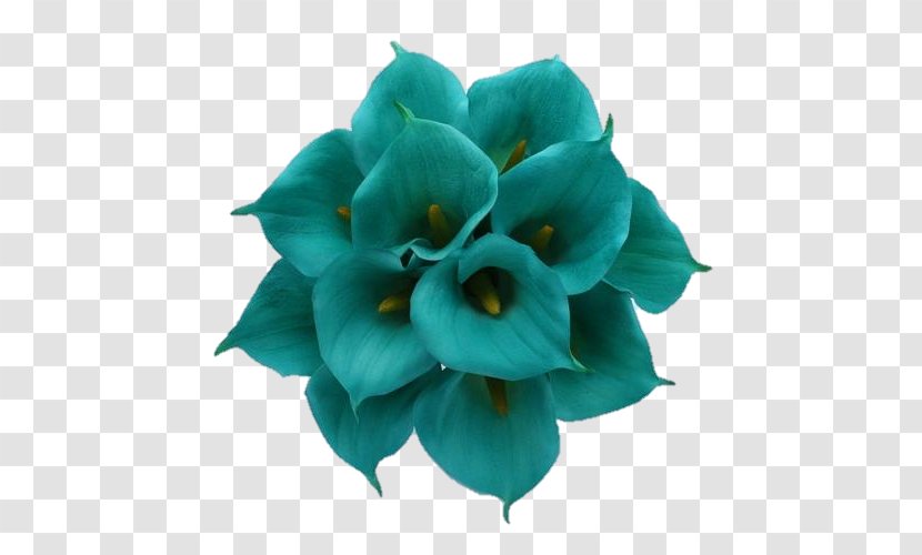 Flower Bouquet Arum-lily Wedding Teal - Green Transparent PNG