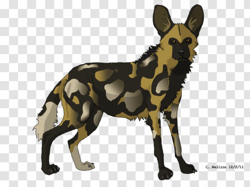 African Wild Dog Puppy Hyena Dhole - Tail - Howl Clipart Transparent PNG