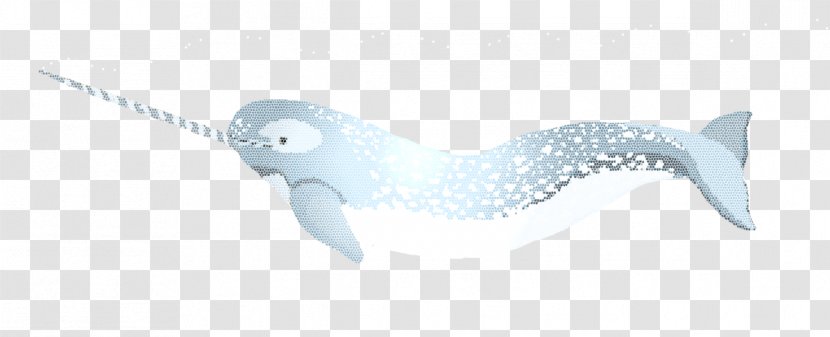 Narwhal Marine Mammal Beluga Whale Animal - Tooth Transparent PNG