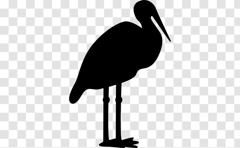 White Stork Bird Crane Beak Silhouette - Ciconia Transparent PNG