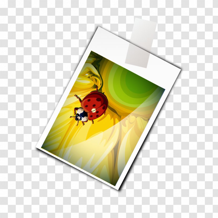 Insect Butterfly - Drawing - Album Sheet Transparent PNG