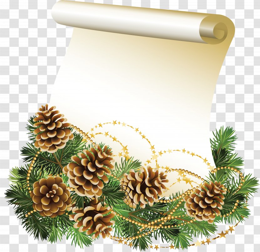 Christmas Paper Parchment Clip Art - Pine Family Transparent PNG