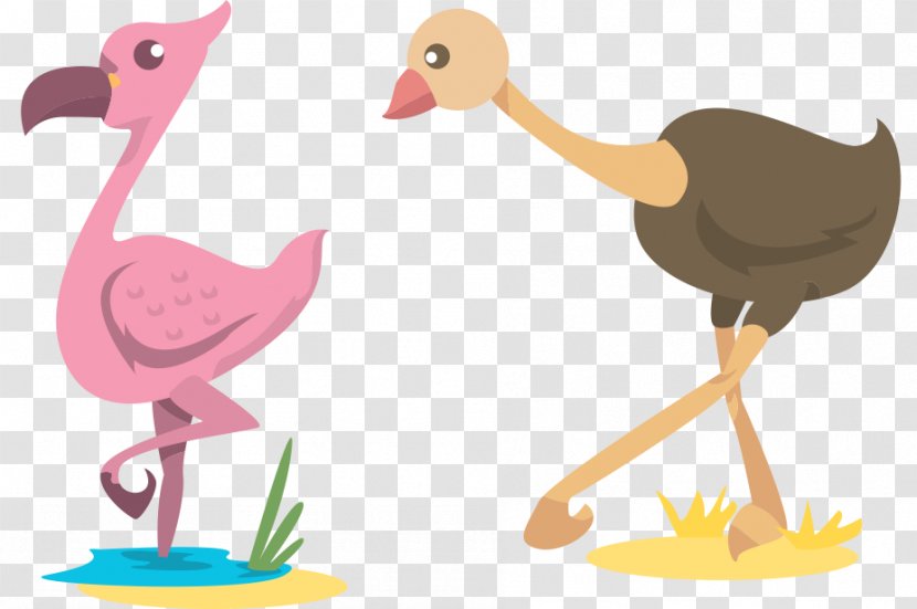 Common Ostrich Cartoon Clip Art - Bird - Vectors Transparent PNG