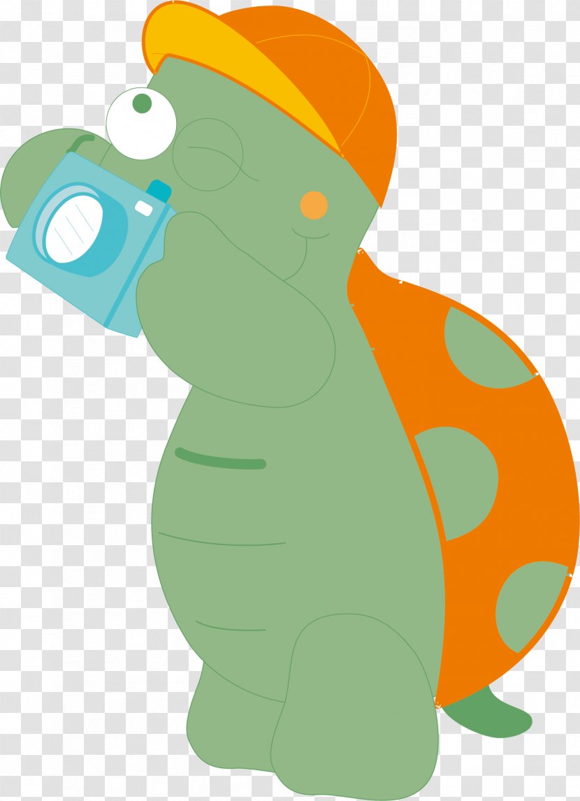 Turtle Green Illustration - Vertebrate - Vector Transparent PNG