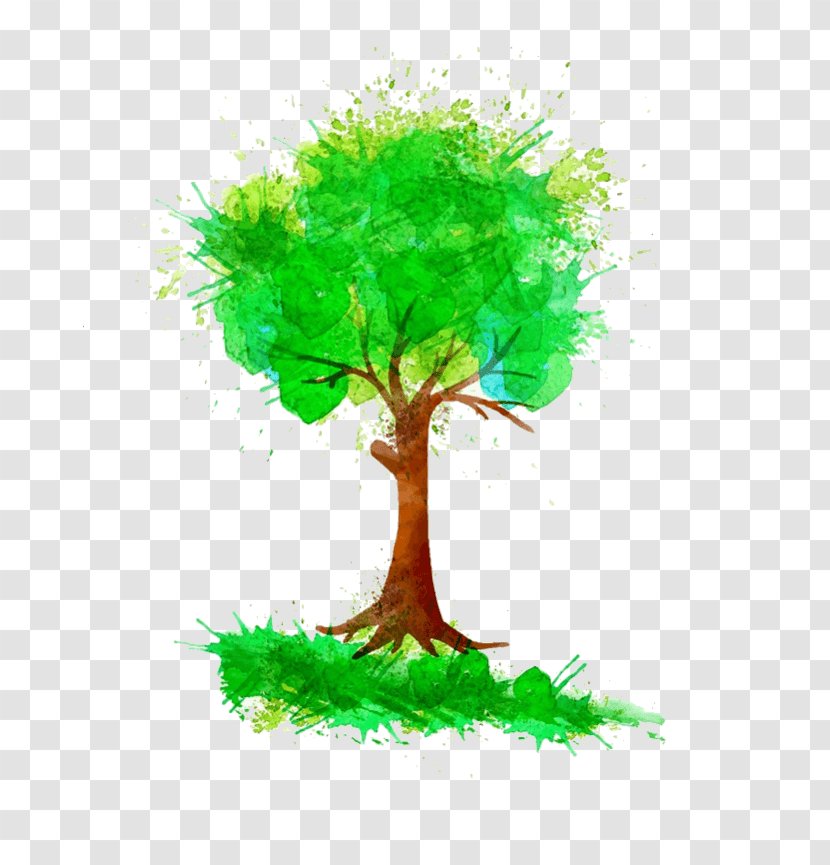 Tree Vector Graphics Watercolor Painting Image - Organism - Summer Trees Transparent PNG