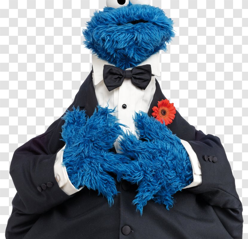 Cookie Monster Telly Enrique Zoe Bert - Biscuits Transparent PNG