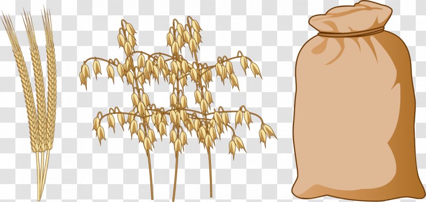 Cereal Rice Wheat Food - Vector Harvest Sacks Transparent PNG
