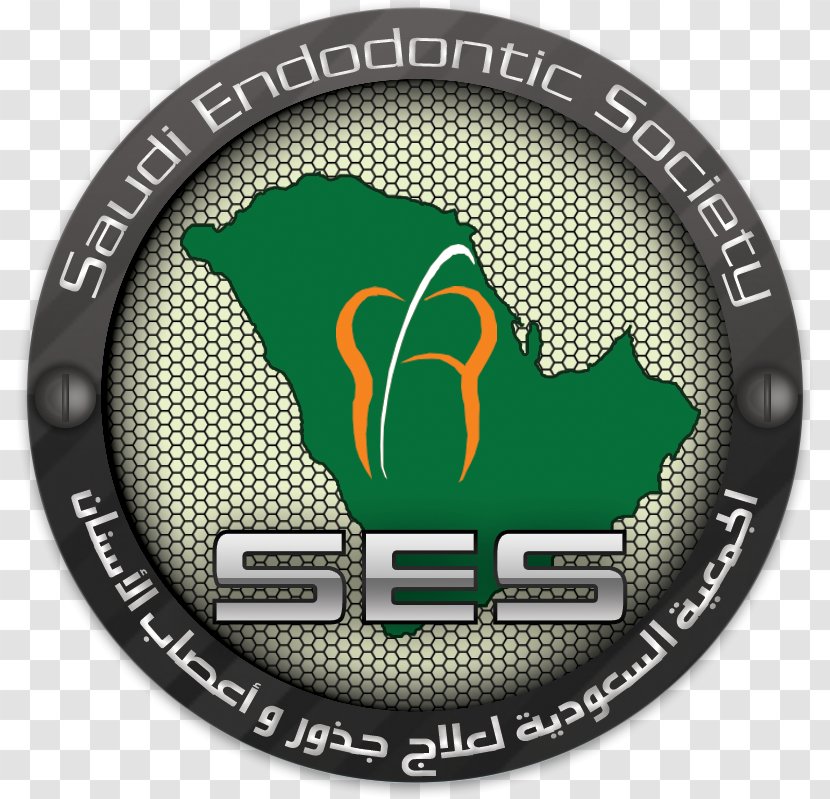 Endodontics Dentistry Root Canal Tooth - Periapical Cyst - Saudi Team Transparent PNG