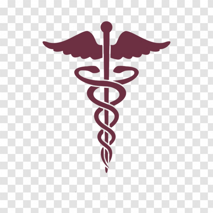 Caduceus As A Symbol Of Medicine Staff Hermes Medical College Physician - Uae Transparent PNG