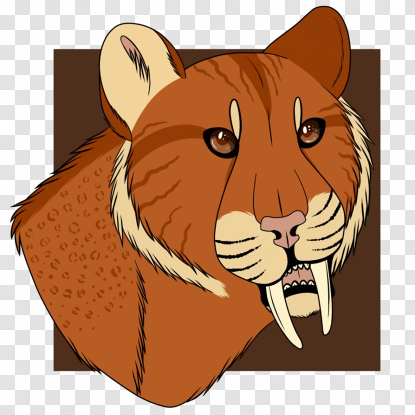 Whiskers Lion Tiger Cat Illustration Transparent PNG