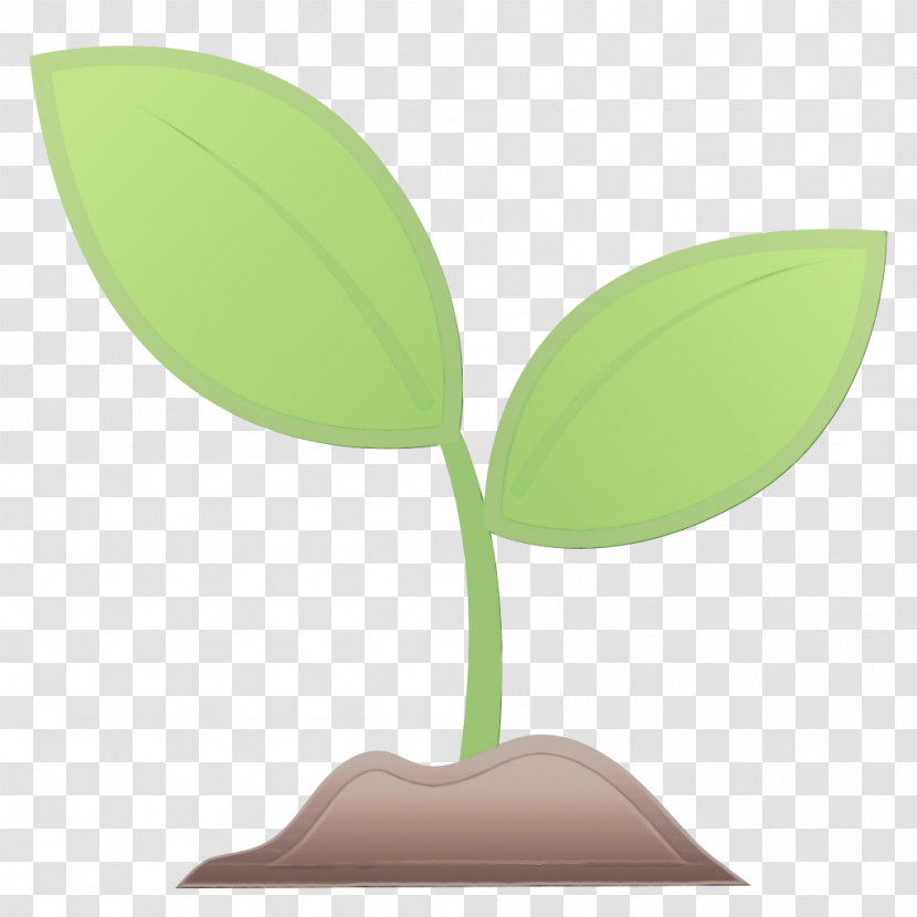 Leaf Plant Structure Biology Plant Science Transparent PNG