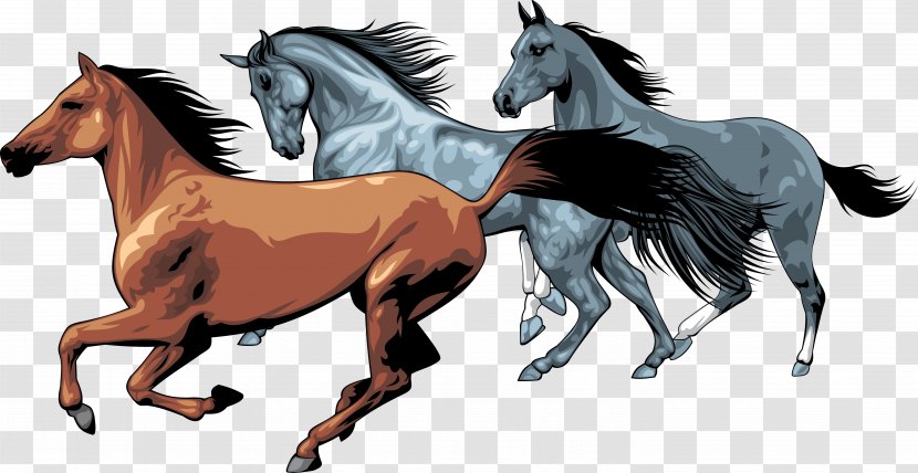 American Paint Horse Equestrian Clip Art Transparent PNG