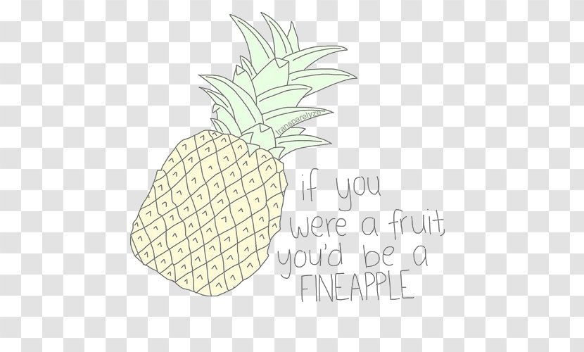 Fruit YouTube Humour Drawing - Youtube Transparent PNG