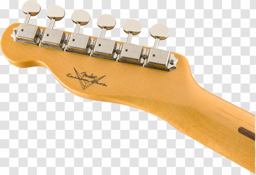 Acoustic Guitar Fender Stratocaster Telecaster Esquire Jazzmaster - Tree Transparent PNG