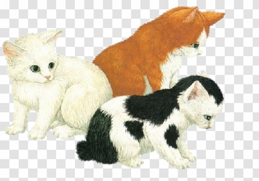 Cat Kitten - American Wirehair - Three Cats Transparent PNG