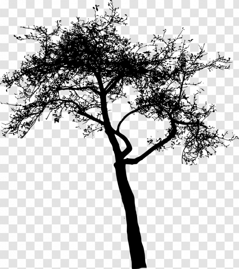 Twig Tree Sticker - Pine Transparent PNG