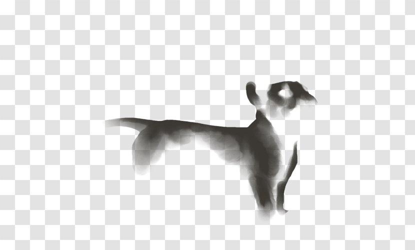 Whiskers Italian Greyhound Cat Dog Breed - Wildlife Transparent PNG