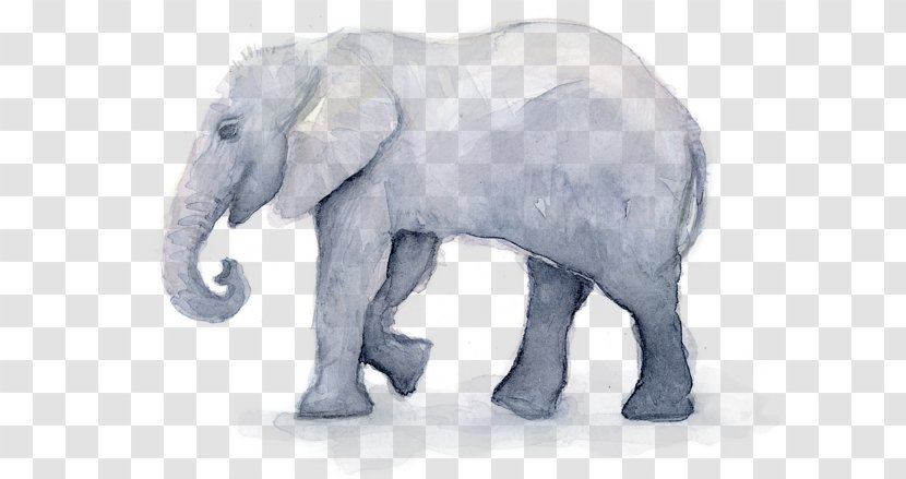 Watercolor Animal - African Elephant - Drawing Wildlife Transparent PNG