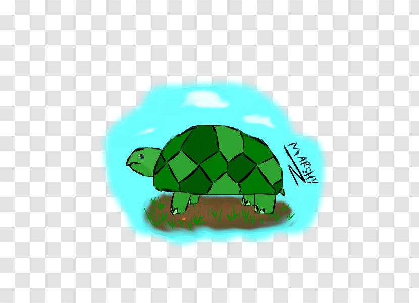 Sea Turtle Reptile - Tortoide Transparent PNG