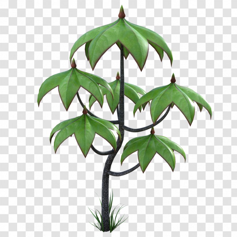 Leaf Plant Tree Flower Woody - Houseplant - Stem Transparent PNG