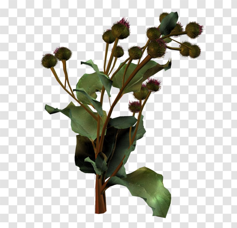 Flowerpot Plant Stem Leaf Flowering - Branching - Flower Transparent PNG