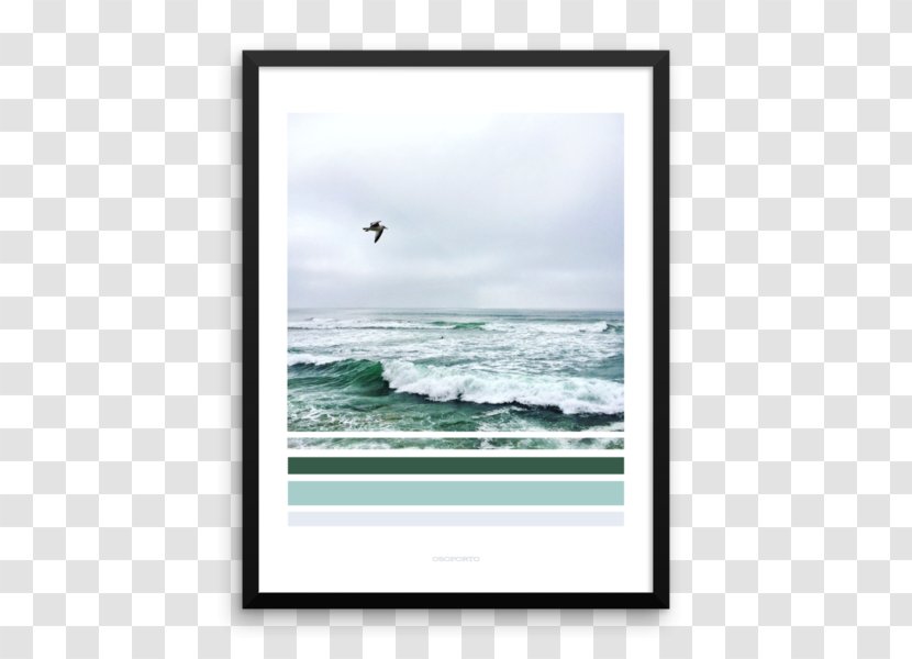 Picture Frames Poster Photography - Youtube - Wall Transparent PNG