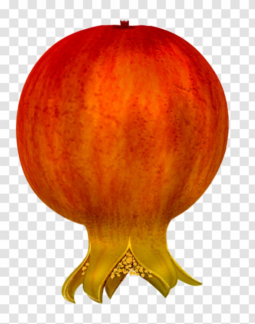 Pomegranate Clip Art - Shabe Yalda Transparent PNG