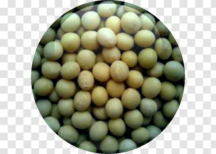 Soy Milk Soybean Meal Seed Oil - Textured Vegetable Protein - Papaya Cut Transparent PNG